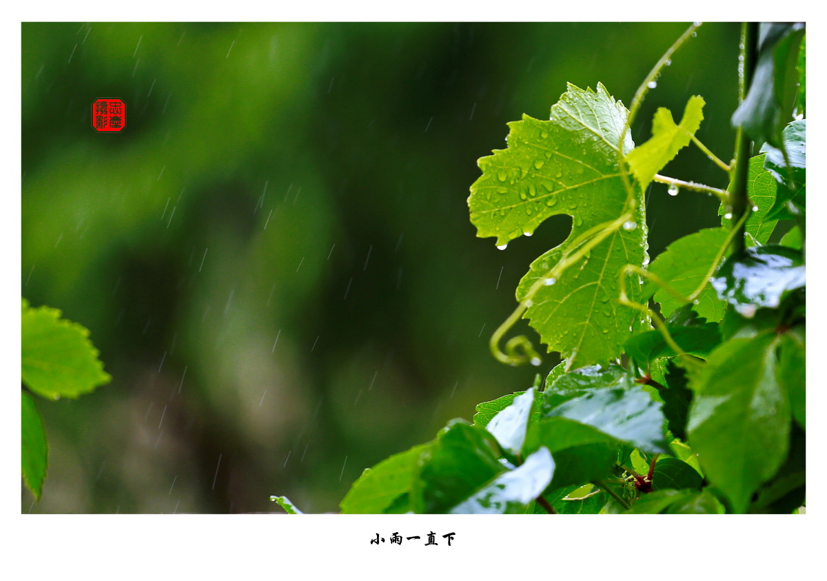 小雨一直下