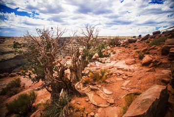 20130816-IMG_2099