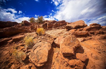 20130816-IMG_2113