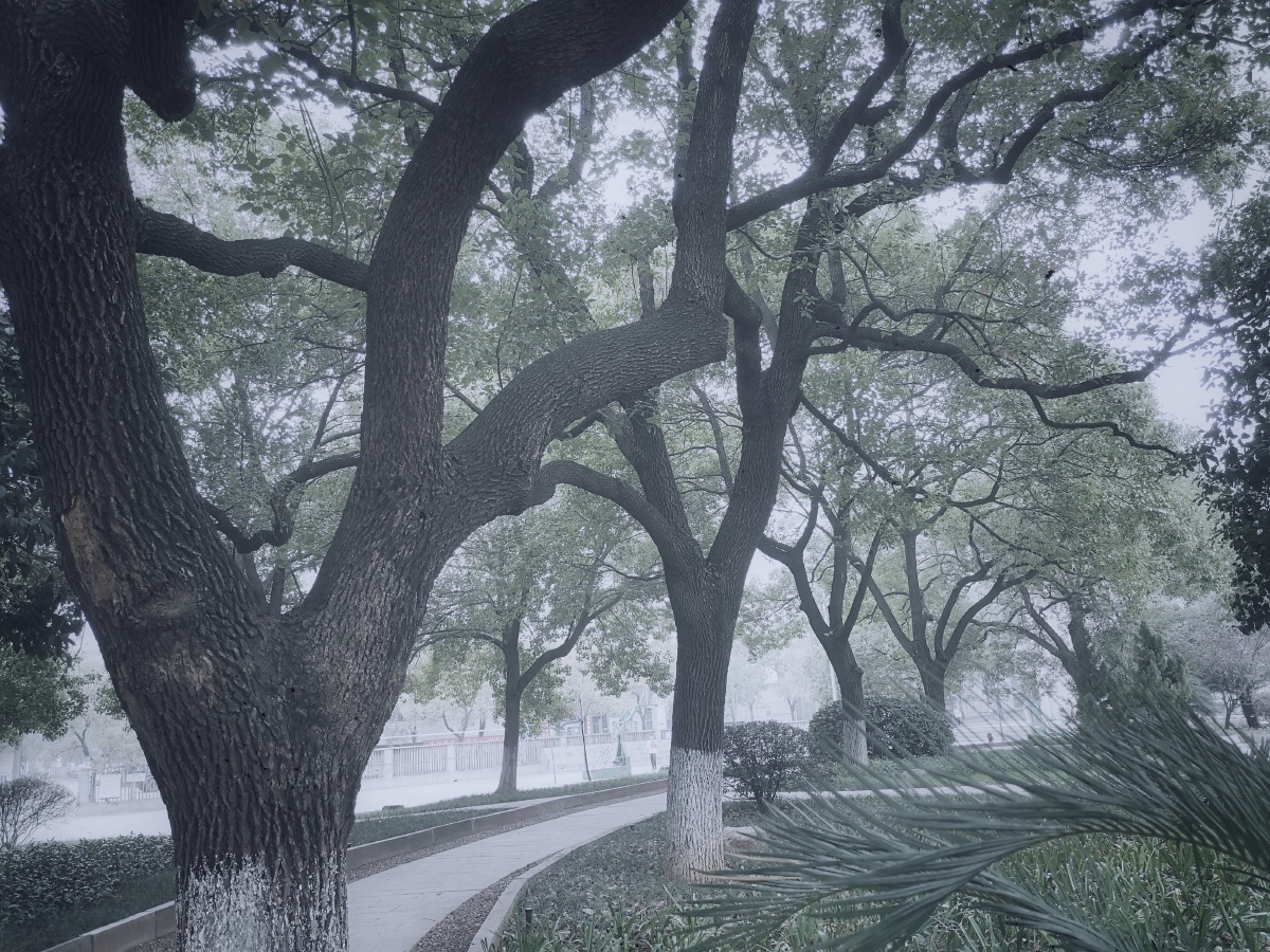 岁月痕迹 - 心好530