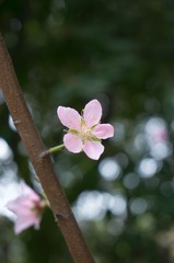 5M DSC00452.jpg