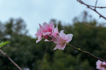 5M DSC00455.jpg