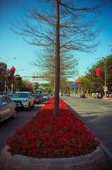 5M DSC00394.jpg