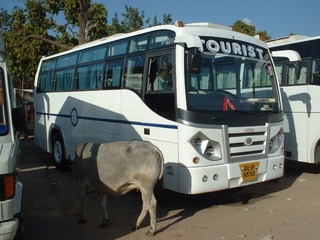 49063