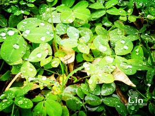DSC_1116.jpg