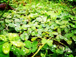 DSC_1118.jpg