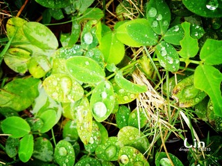 DSC_1119.jpg
