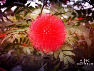 P1000311_副本.jpg
