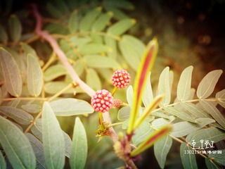 P1000312_副本.jpg