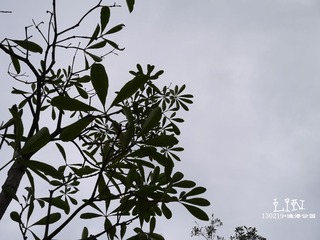 P1000319.jpg