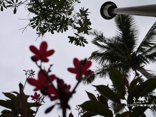P1000320.jpg
