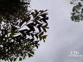 P1000325.jpg