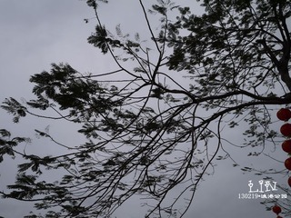 P1000328.jpg