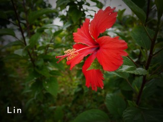 P1000095_副本.jpg