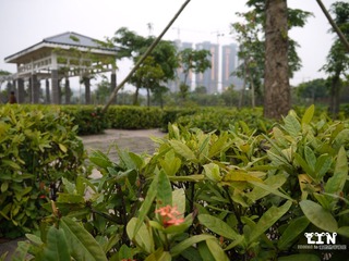 P1000455_副本.jpg