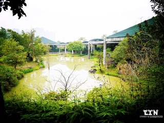 P1000497.jpg