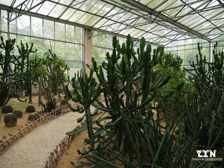 P1000519_副本.jpg