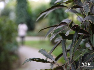 P1000532_副本.jpg