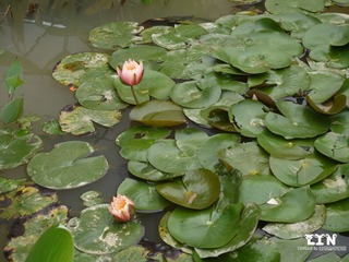 P1000557_副本.jpg