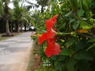 P1010312.jpg