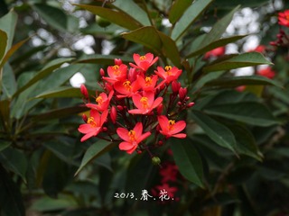 P1010357.jpg