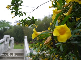 P1010393.jpg