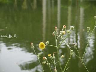 P1010417.jpg