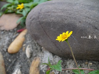 P1010439.jpg