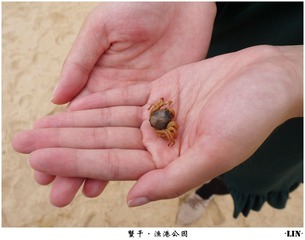P1010494_副本.jpg