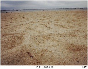 P1010499_副本.jpg