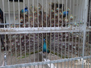P1000924.jpg