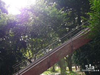 P1000978.jpg