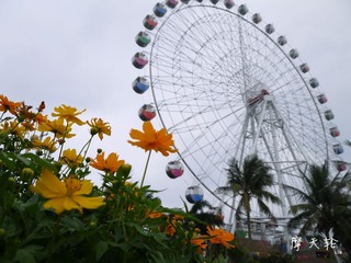 P1010669_副本.jpg