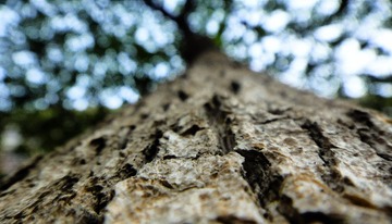 DSC00210.jpg