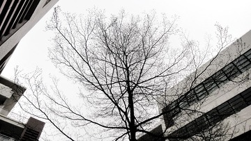 DSC00059.jpg