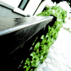 IMG_2590.jpg