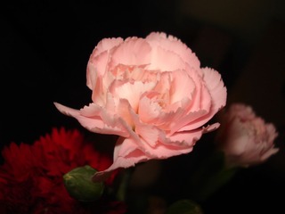 DSC00002 2010 09 11 10 17 55.JPG