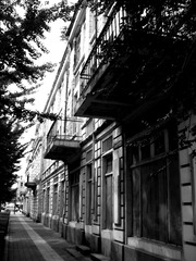 CIMG4620-1.JPG