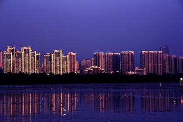 2014新春，红树林。