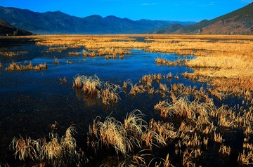_95A0057.jpg