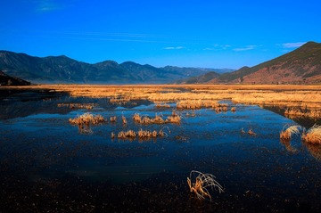 _95A0058.jpg