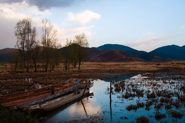_95A0130.jpg