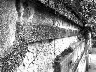 DSCN6140.JPG