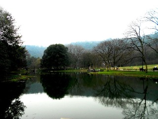 DSCN6230.JPG