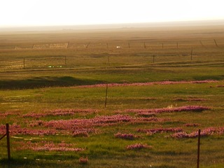 P8070022