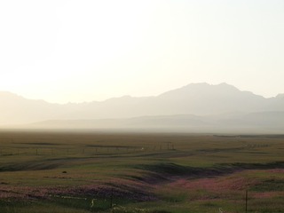 P8070023