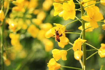 IMG_0505_.jpg
