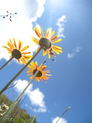 DSCN6194.jpg