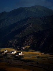 DSCN6686.jpg
