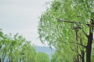 杭州-1